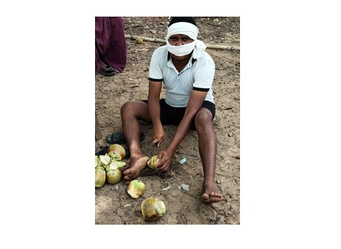 सिरोंचा : ताडीच्या फळाची साल काढताना विक्रेता.