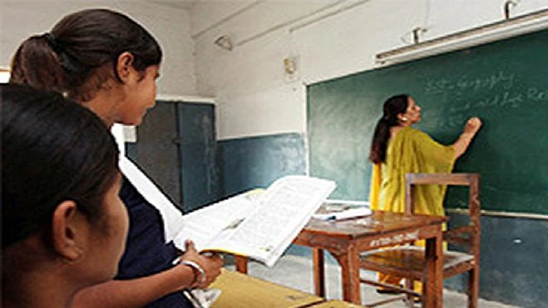 teacher