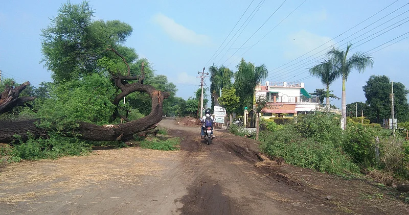 थडीपवणीः परिसरात सर्रास करण्यात येत असलेली वृक्षतोड.