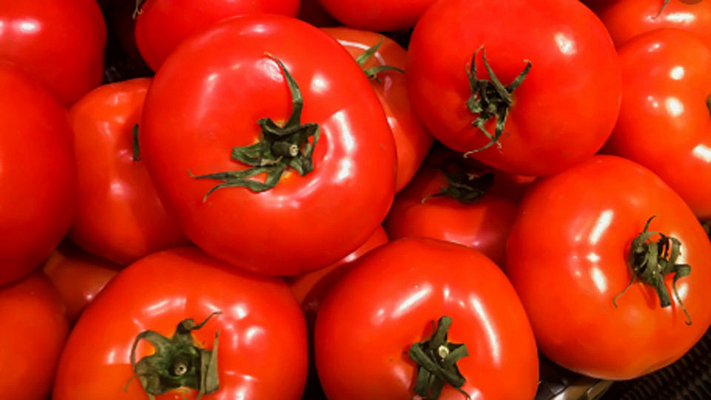 tomato