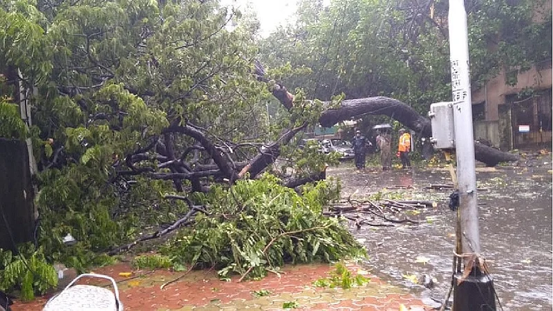 मुंबईत झाड पडून दोन मुलं जखमी, ४२ ठिकाणी झाडे पडल्याच्या तक्रारी