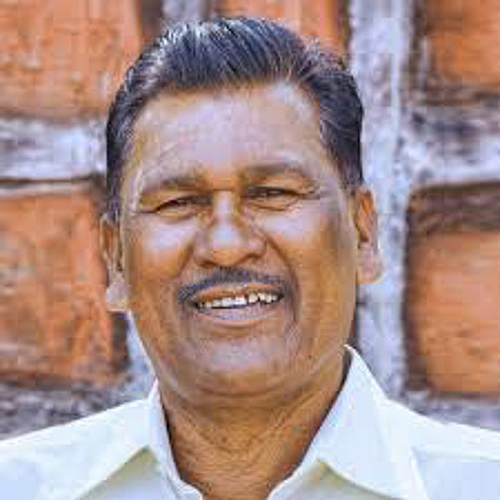 प्रा. विजय बारसे