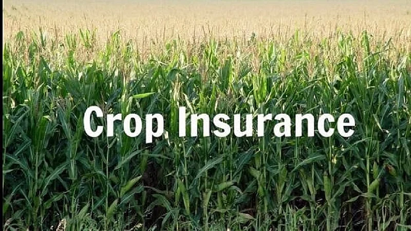 only few farmers get benefit of crop insurance in yavatmal