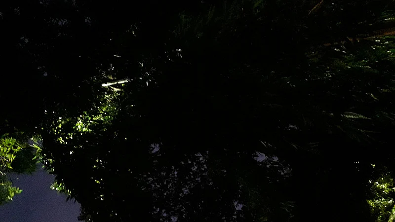 Hidden street light