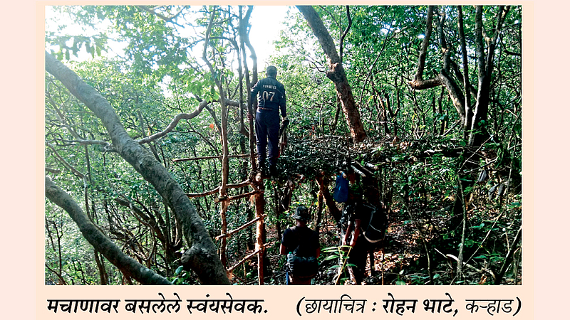 सह्याद्री व्याघ्र प्रकल्पात पुनवेची थरारक रात्र