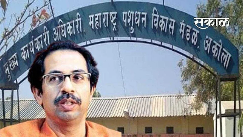 Akola News Livestock Development Board reaches Legislature!}