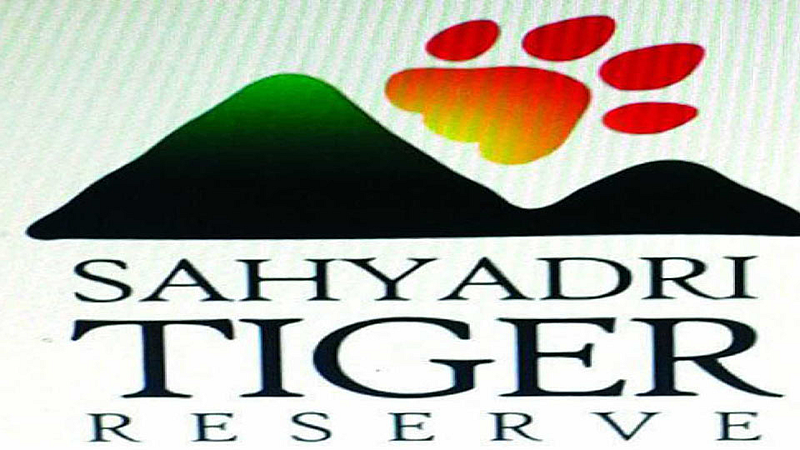 #WorldWildLifeDay : 'सह्याद्री व्याघ्र'त हाेतेय 'या' प्राण्यांचेही दर्शन