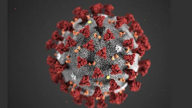 corona virus in nashik