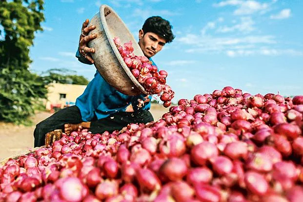 3onions_6.jpg