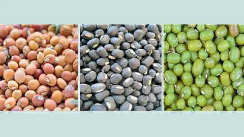 Soybean, Moong