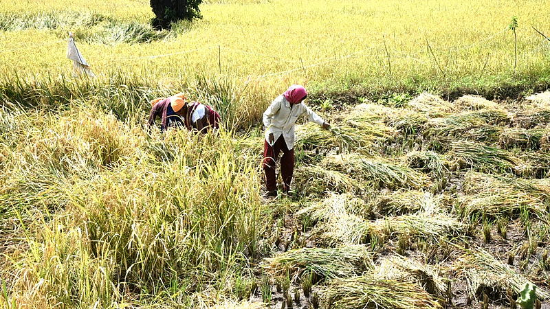 शेतकऱ्यांना दिलासा