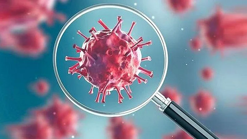 Corona-Virus