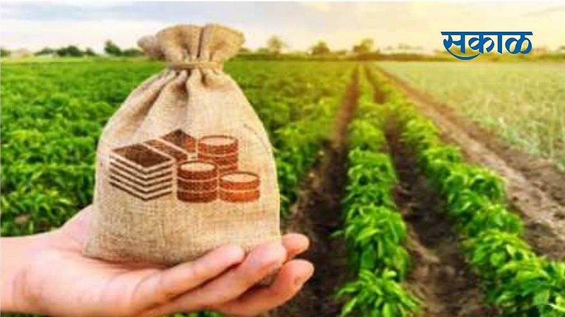 Crop Insurance