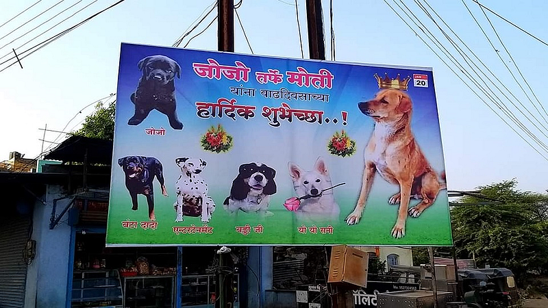 Dog Birthday Banner Ambajogai