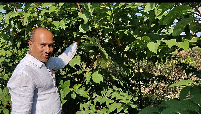 Hanumant Rajegore, an agricultural graduate from Shelgaon, has increased the area under custard apple.jpg