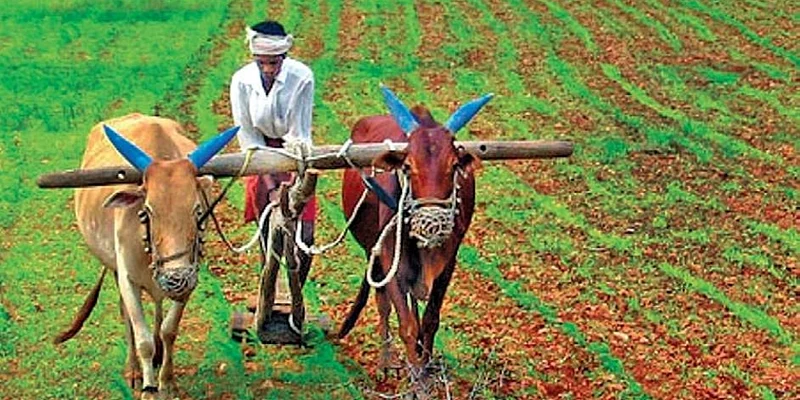 farmer compensation heavy rain