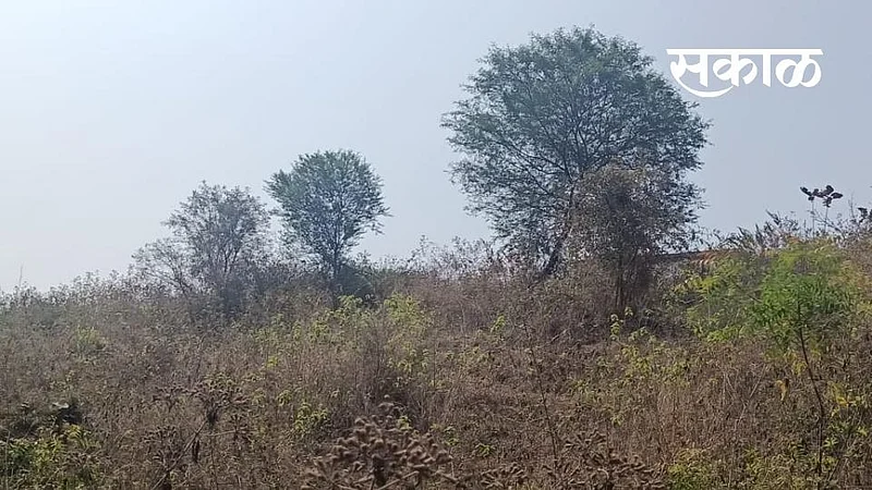 Irrigation department neglects regular cleaning safety of Khadakwasla dam}