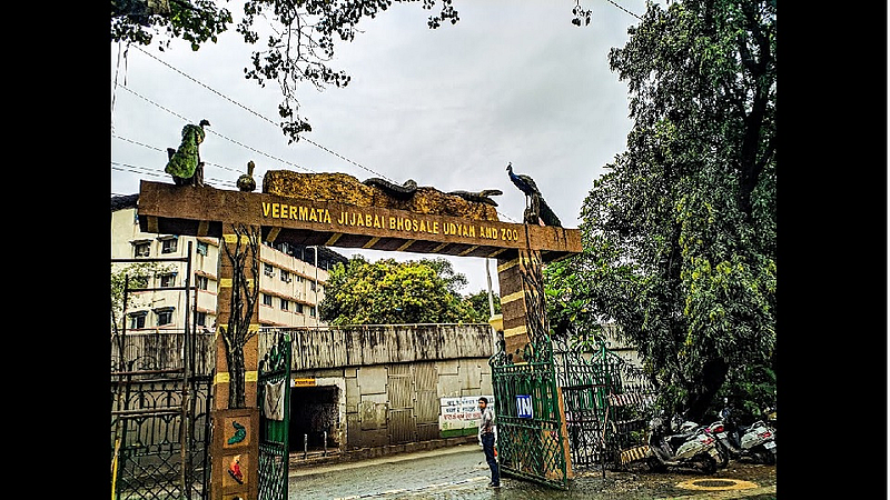 राणीच्या बागेतल्या पक्ष्यांवर आता २४ तास असेल करडी नजर