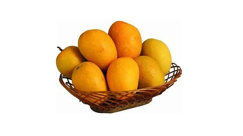 Leaders Quiet On Mango Cashw Nut Rate Farmers Question