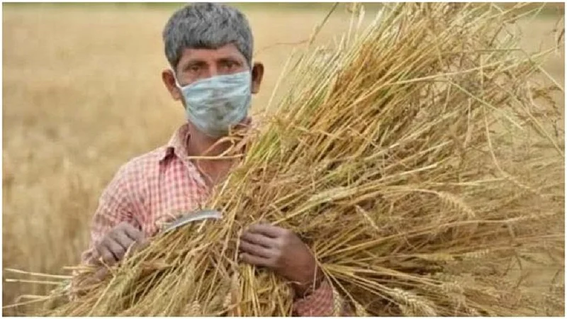 living difficulties for labors and farmers due to lockdown