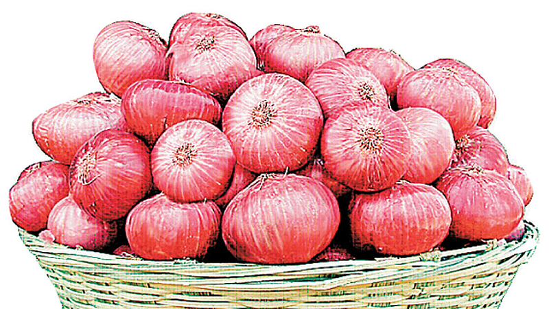 Onion