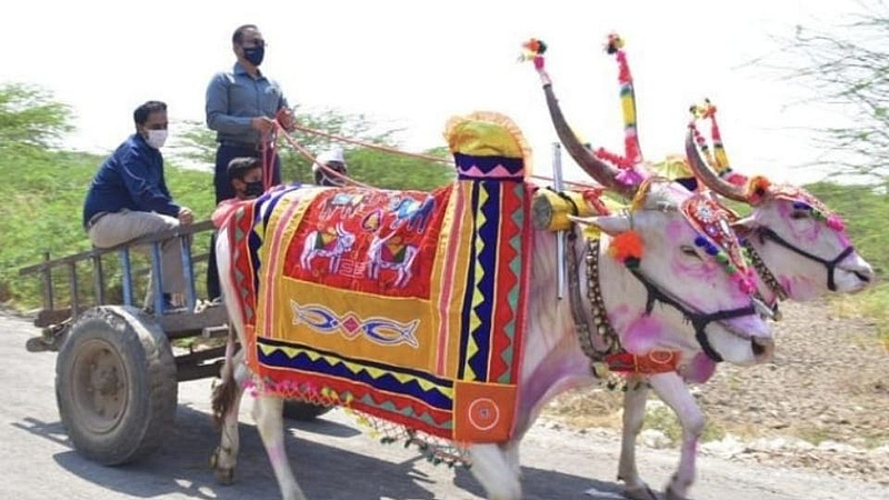 Pune_Collector