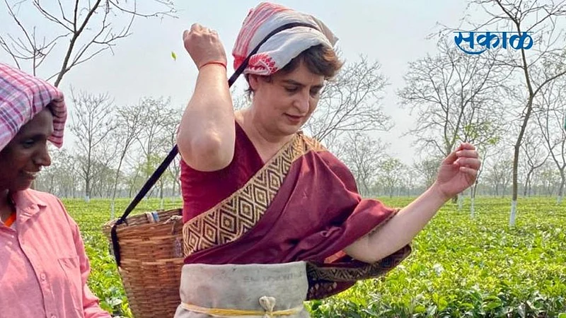 priyanka gandhi assam tea garden}
