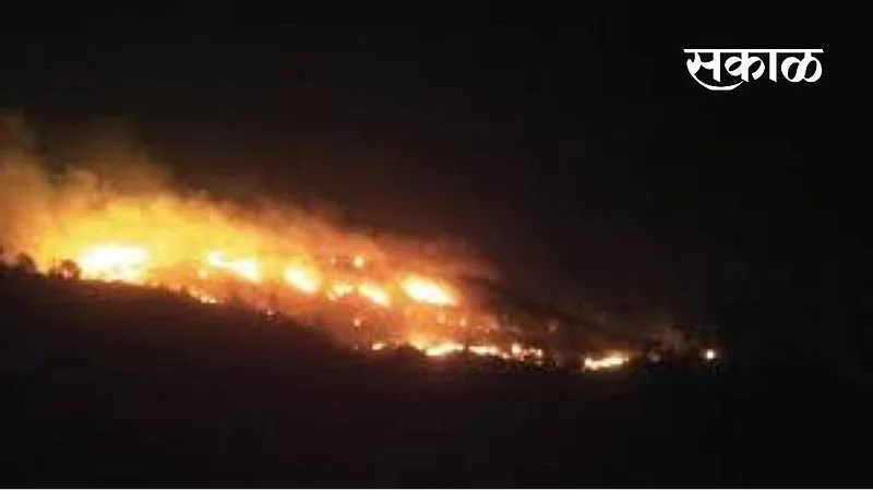 thanepada forest aria fire}