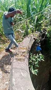 शक्कल लढवली आणि दोन महिन्यापासून अडकेले नाग सर्पमित्राने शिताफीने पकडले !