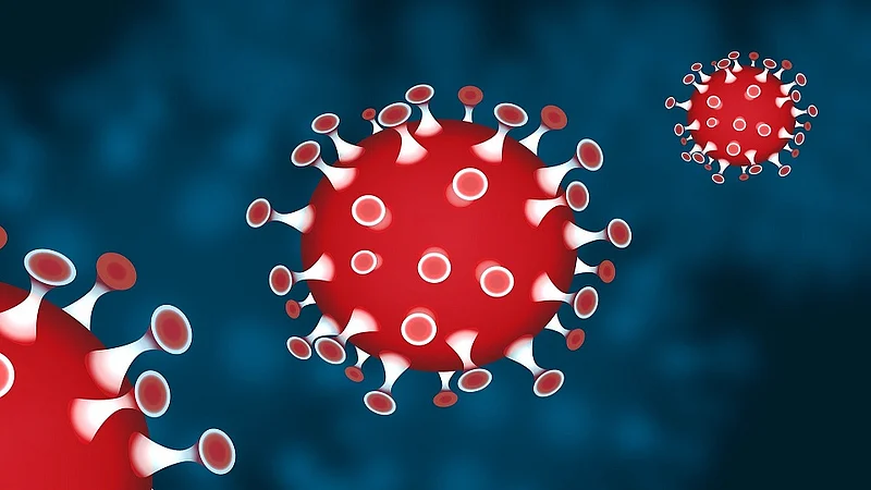 The government system was not infected