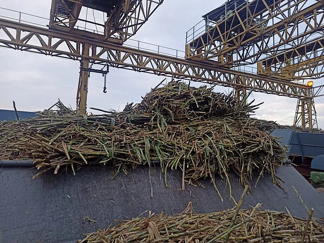 Modernization of Wheat and Machinery at Tanpure Factory