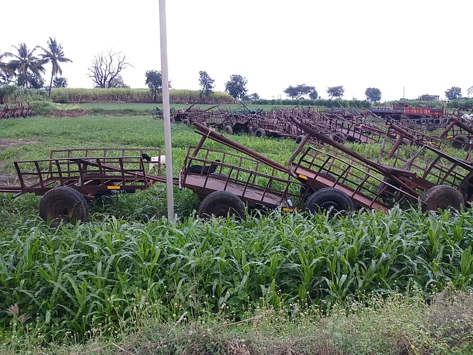 Rules of social distance from sugarcane workers to sugarcane workers