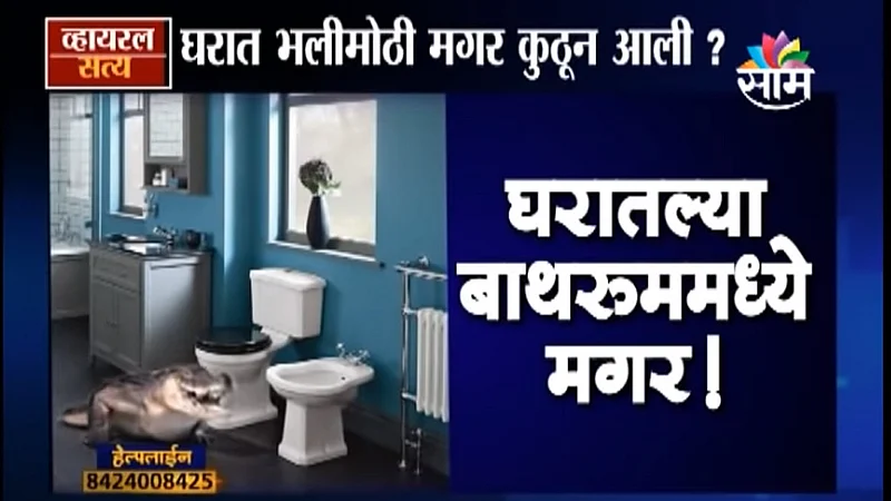 Viral Satya Video Crocodile was found in the bathroom of the house