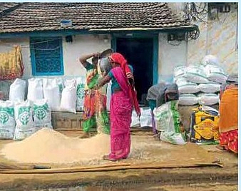 rice production