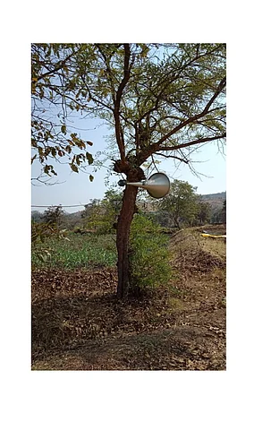 The Use Of Overnight Radios In The Agriculchar Farm In Uttur Area Kolhapur Marathi News