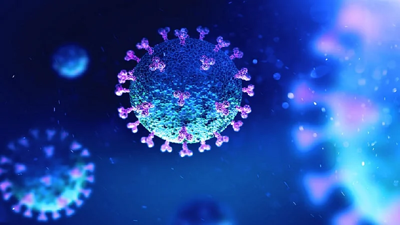 CoronaVIrus