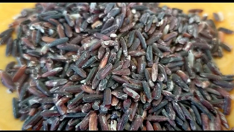 Farmer doing farming of black and green rice