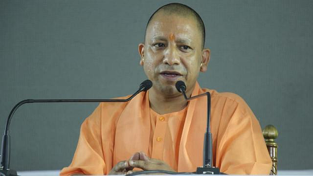 yogi