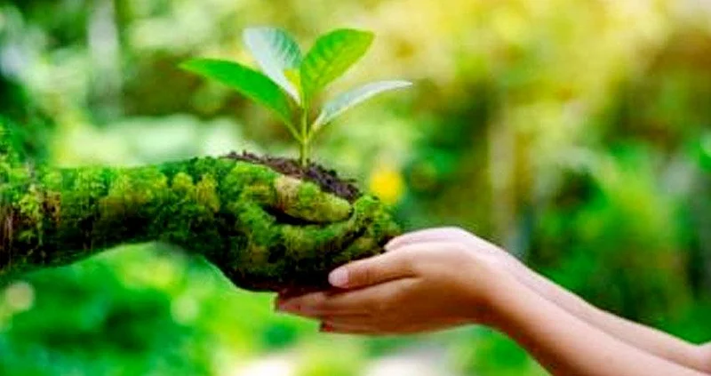 The Rotary Club of Karjat City has undertaken an eco-friendly toothbrush initiative to protect the environment