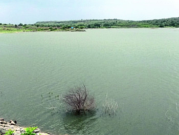 jamfad dam