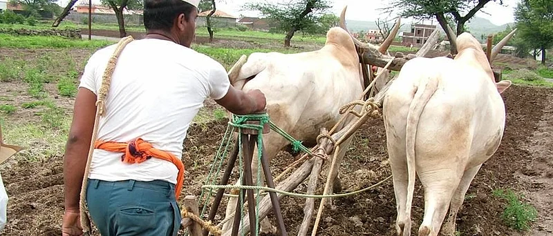 agriculture.jpg
