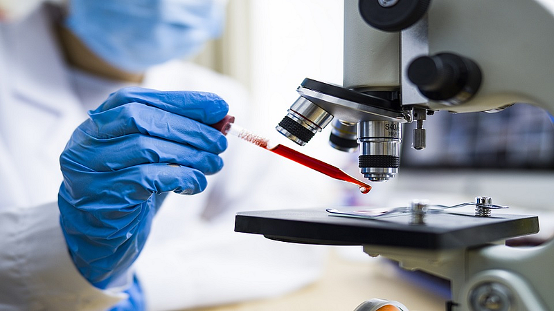 antibodies against corona virus
