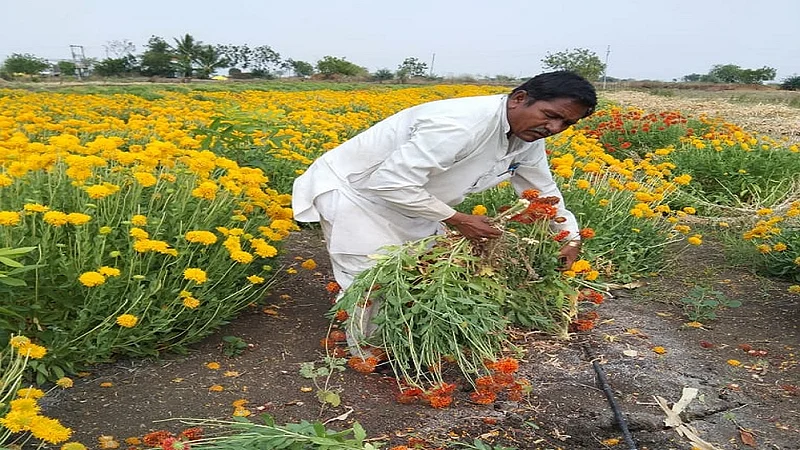 ausa farmer