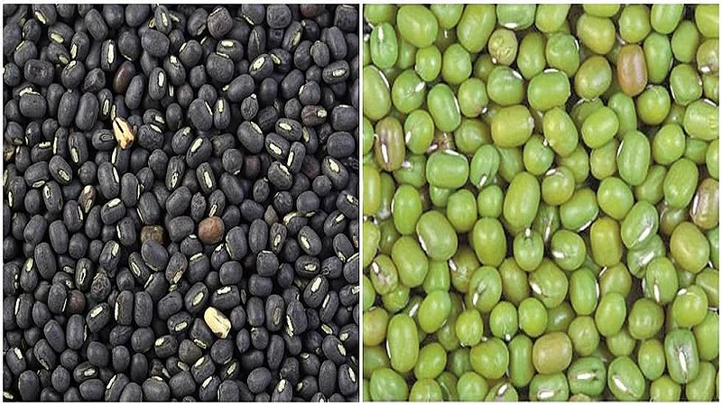 beed hami0bhav.jpg