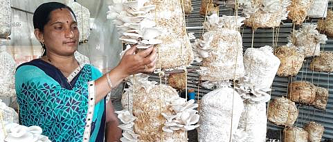 Akola News: Thousands of Monthly Turnover by Working from Home, Marketing, Branding