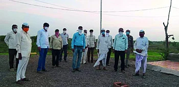 tree plantation