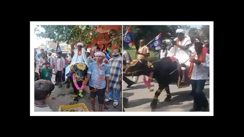 bihar election ravindra yadav alias kapil yadav went on buffalo for nomination