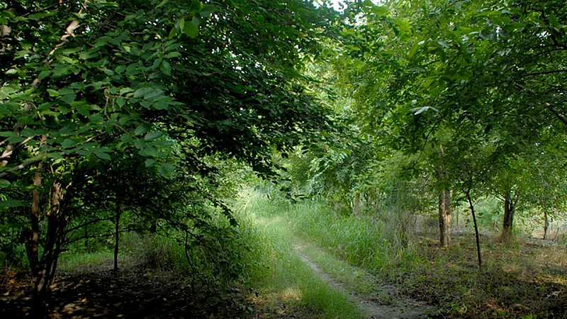 biodiversity park