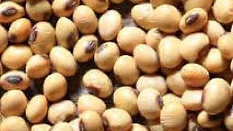 biyane