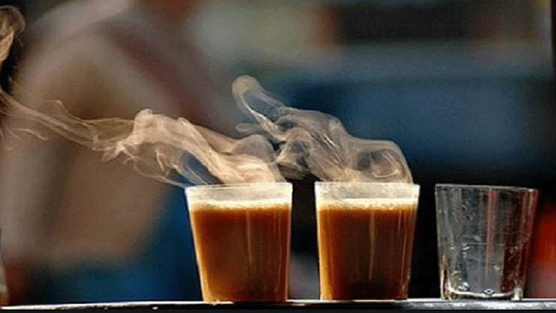 tea not sale in sindhudurg district matond village